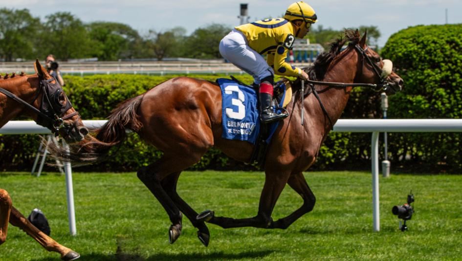 2025 Bowling Green Stakes at a Glance | America's Best Racing