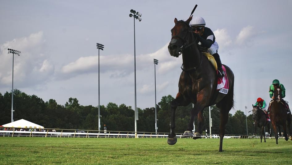 Fev Rover, Beverly D. Stakes, Colonial Downs, Breeders’ Cup Filly and Mare Turf, Eclipse Sportswire Fev Rover, Beverly D. Stakes, Colonial Downs, Breeders’ Cup Filly and Mare Turf, Eclipse Sportswire