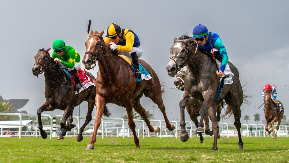 ABR Sunday Selections: Full-card Picks for March 15 at Gulfstream Park