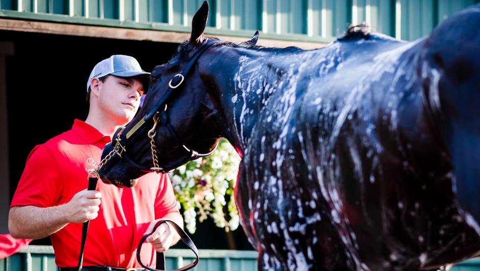 Classic Empire trains for Belmont; True Timber won't run