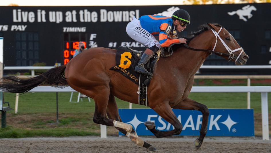 Renegade, Todd Pletcher, 2026 Sam F. Davis Stakes, Tampa Bay Downs