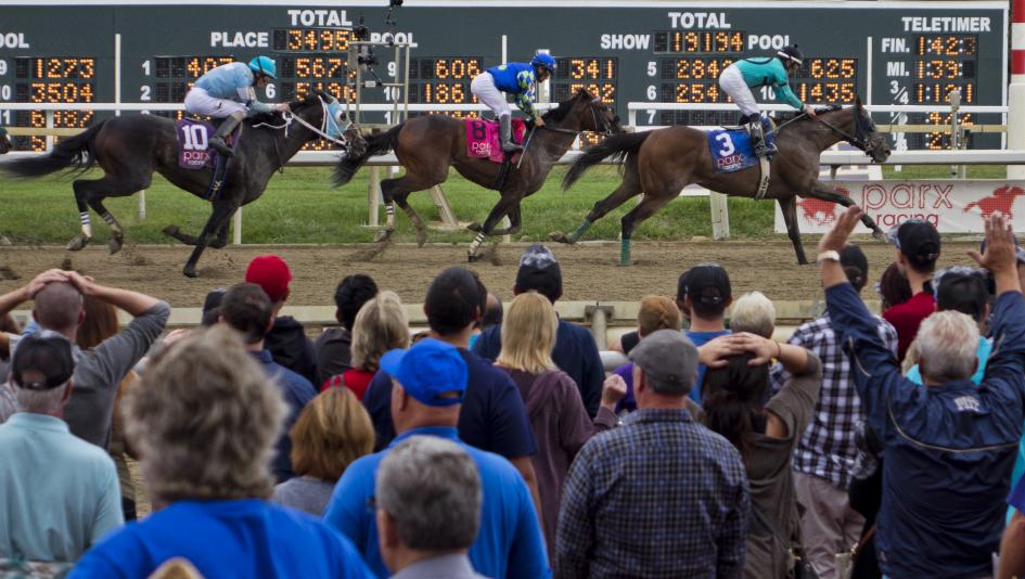 2019 Pennsylvania Derby At A Glance America S Best Racing Usain bolt didn't really exert himself during tuesday's qualifying race. 2019 pennsylvania derby at a glance