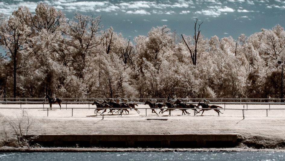 2025 Maryland Million Classic Stakes Cheat Sheet