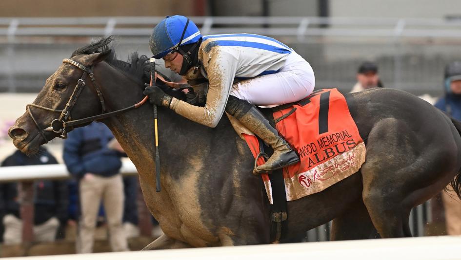 Albus, Kentucky Derby, prospect, Wood Memorial, Aqueduct, Pin Oak Stud, Riley Mott, Jaime Torres, jockey, owner, trainer, pedigree, speed figure, Equibase, Beyer, Yaupon, Adream, horse racing, ABR