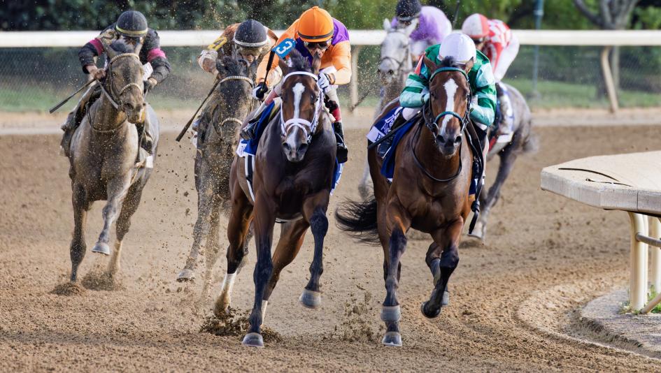 Tommy Jo, Percy’s Bar, Alcibiades Stakes, Keeneland, Breeders’ Cup Juvenile Fillies, filly, Todd Pletcher, trainer, John Velazquez, jockey, disqualification, DQ, Luan Machado, bumping, horse racing, ABR