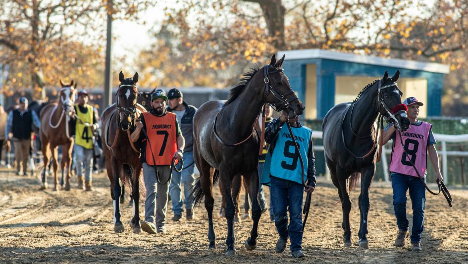 TV, radio, television, streaming, horse racing, FOX, FS2, Bahrain, Meadowlands, Aqueduct, Churchill Downs, Claiming Crown, Del Mar, Woodbine, FanDuel TV, RTN, HRRN, Byk, ABR