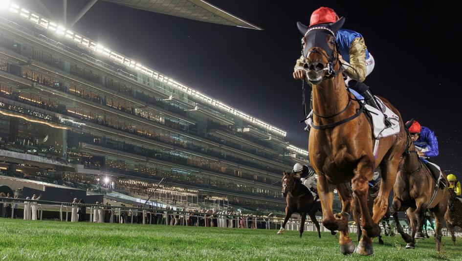 Woodbine Mile, turf, upset, Notable Speech, Deterministic, Gas Me Up, Archivist, Irish Aces, Silius, Itsastormymonday, Pierre, Charles Appleby, William Buick, Miguel Clement, Kendrick Carmouche, Al Jehani, Joao Moreira, Breeders’ Cup, horse racing, ABR