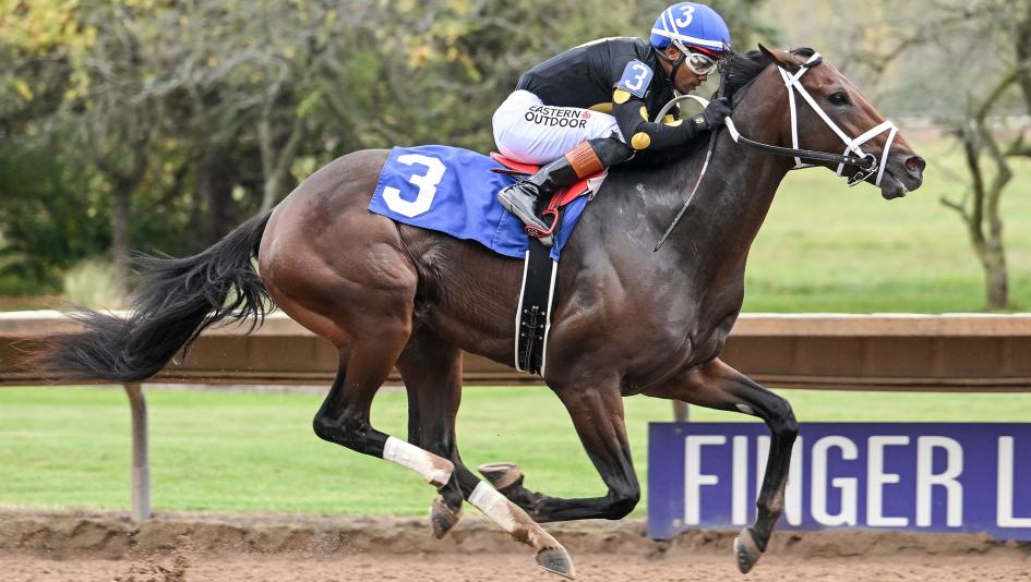 Remington Park, Springboard Mile, Kentucky Derby, Arctic Beast, Mike Maker, Essential Time, Royalamerican, Spice Runner, Big Apple Patrick, Express Kid, trifecta, gambling, betting, trainer, horse racing, ABR