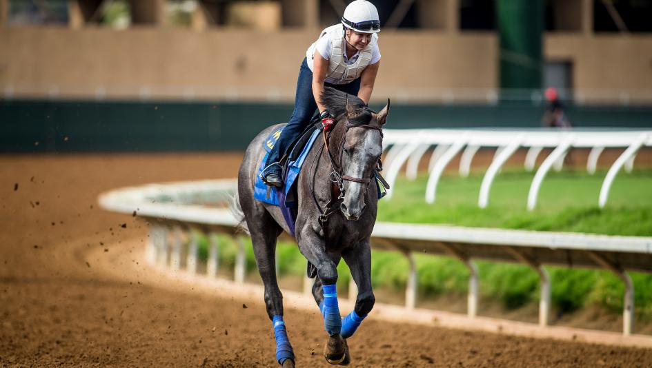 Accelerate Upsets Arrogate in San Diego Accelerate Upsets Arrogate in San Diego