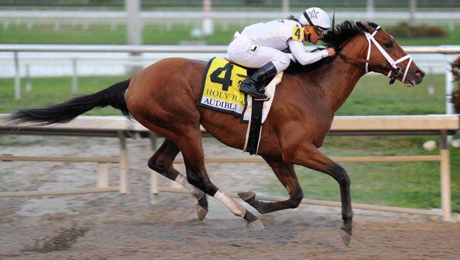 best dating kentucky derby pick best dating kentucky derby pick