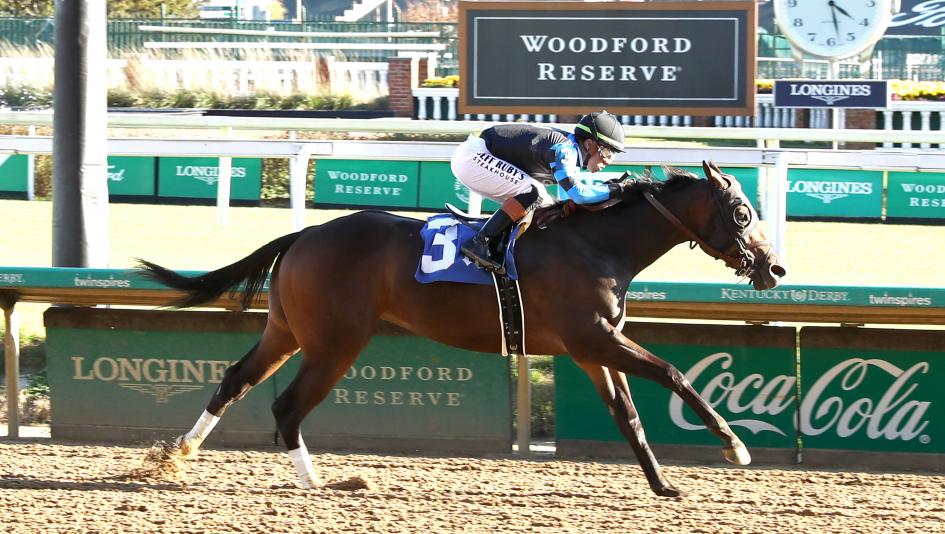 Awesome Hawaiian, gelding, Churchill Downs, maiden claiming, rescue, aftercare, Will Walden, trainer, Resolute Racing, John Stewart, Sarah Stewart, feedlot, unwanted, horse racing, ABR