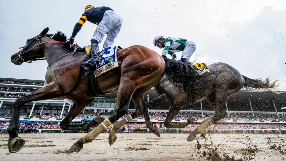 Equibase, earnings, standings, leaderboard, Baby Vino, Haskell, Monmouth, Knightsbridge, jockey, trainer, Del Mar, Journalism, Brad Cox, Jose Ortiz, Irad Ortiz, Flavien Prat, Steve Asmussen, Chad Brown, Mark Casse, horse racing, ABR