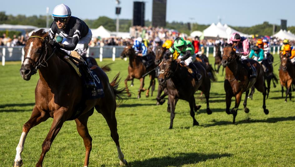 Bacio, Wesley Ward, Juan Hernandez, MyRacehorse, Palace of Holyroodhouse, handicap, Royal Ascot, George Weaver, Sandal’s Song, stewards, turf, horse racing, international, England, jockey, trainer, ABR