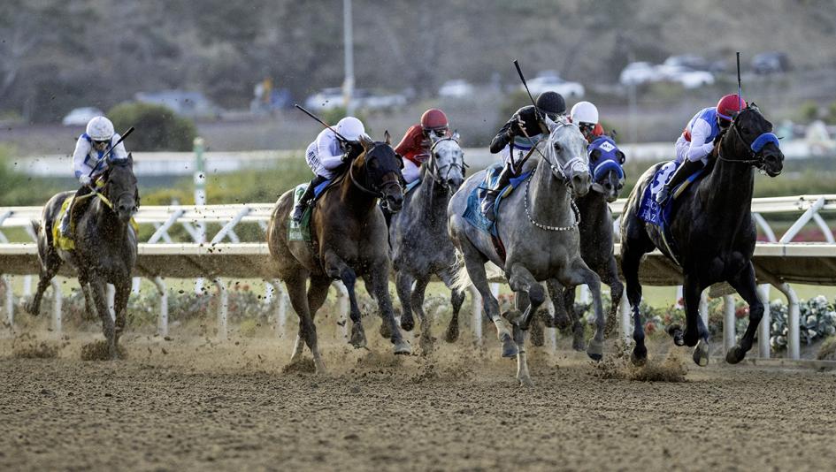 Bing Crosby, Stakes, Del Mar, Breeders’ Cup, Sprint, Maximum Bourbon, Listenupshance, Dr. Venkman, For All Mankind, Stronghold, Cornucopian, Gold Sweep, Mad House, Moonlight, glance, jockey, trainer, horse racing, ABR 