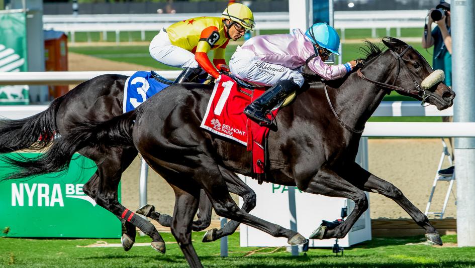 Hall Stables, Katie Hall, Sam Hall, breeders, Breeders’ Cup, Brickyard Belle, Juvenile Turf Sprint, Joe Shiesty, Turf Sprint, Keeneland, broodmare, mare, Matron Stakes, Woodford Stakes, Ready to Unleash, Joe Trawitzki, horse racing, ABR