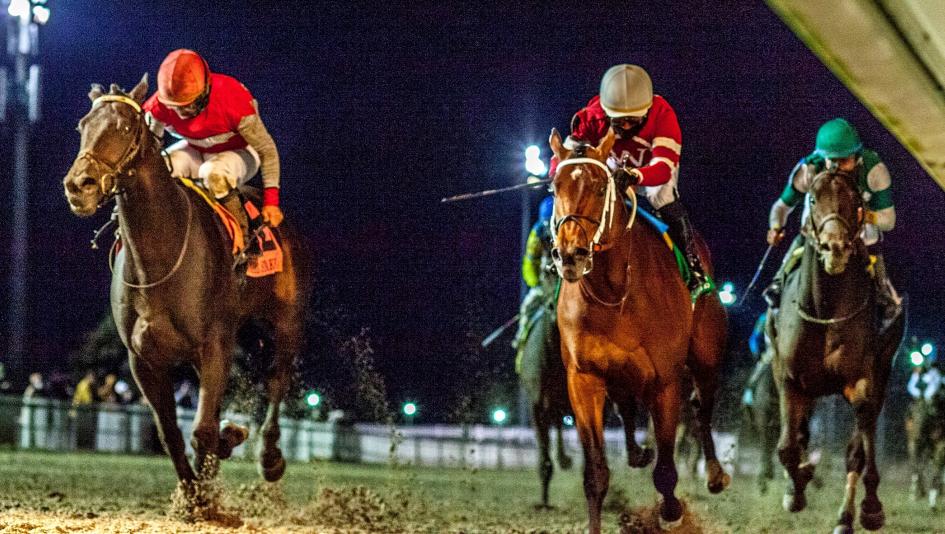 2026 Lecomte Stakes at a Glance