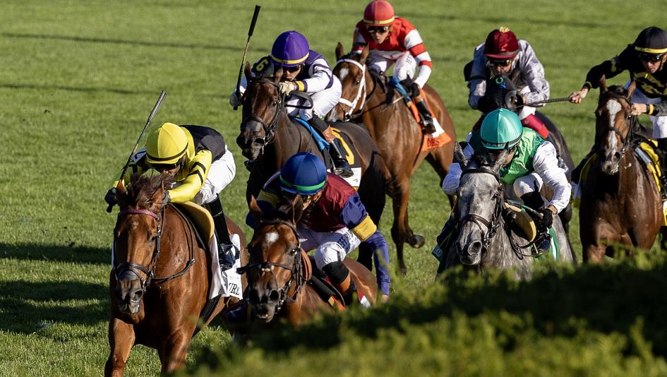 Queen Elizabeth II Challenge Cup, Keeneland, horse racing, America's Best Racing, ABR