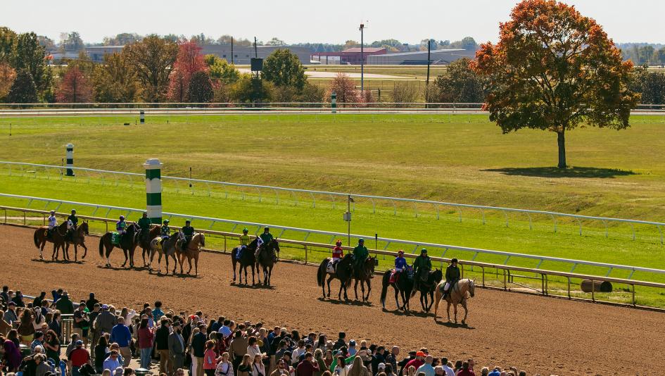 Keeneland, Fall Stars, Andrew Champagne, Spice Runner, Anegada, America's Best Racing, horse racing, ABR