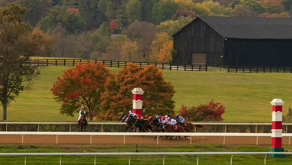 Raven Run Stakes, Keeneland Race Course, Eclipse Sportswire