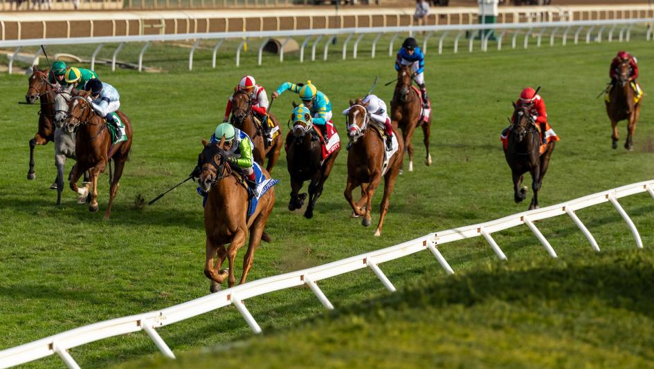 Keeneland, Queen Elizabeth II Challenge Cup Stakes, Laurelin, Fionn, America's Best Racing, horse racing, ABR