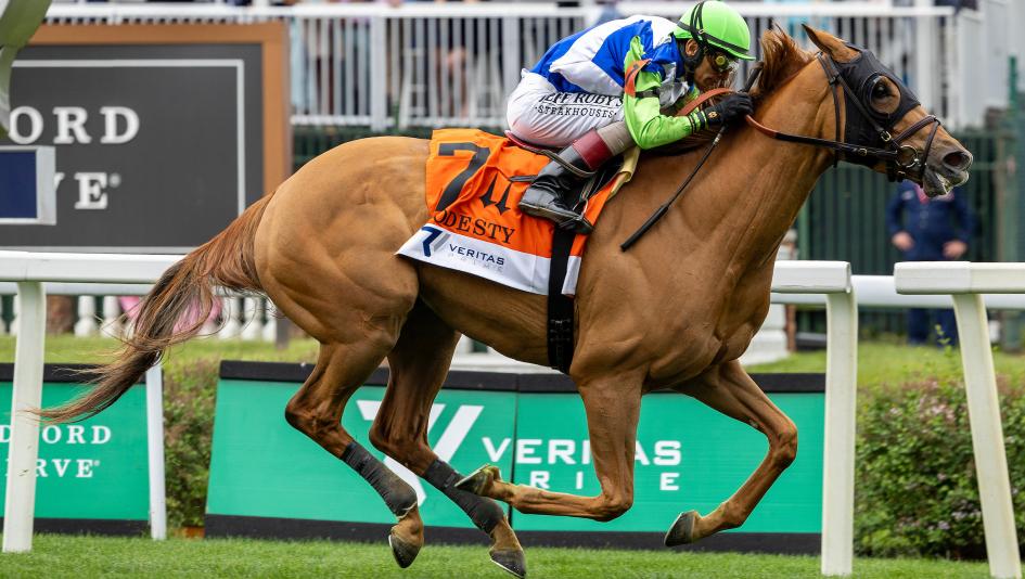She Feels Pretty, E. P. Taylor Stakes, Woodbine, Andrew Champagne, America's Best Racing, horse racing, ABR