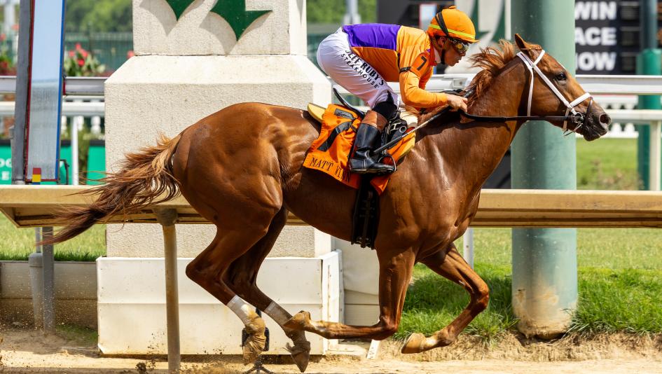 2026 Haskell Stakes, Monmouth Park, Napoleon Solo, The Puma, Further Ado, horse racing, America's Best Racing, ABR