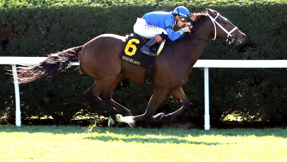 Commonwealth Turf Stakes, Churchill Downs, California Burrito, Troubleshooting, Montador, Anegada, Outrunner, Mansetti, Giocoso, Chapman’s Peak, Flying Mohawk, Simulate, Plensa, Brad Cox, Tyler Gaffalione, Greg Foley, gambling, Irad Ortiz, ABR