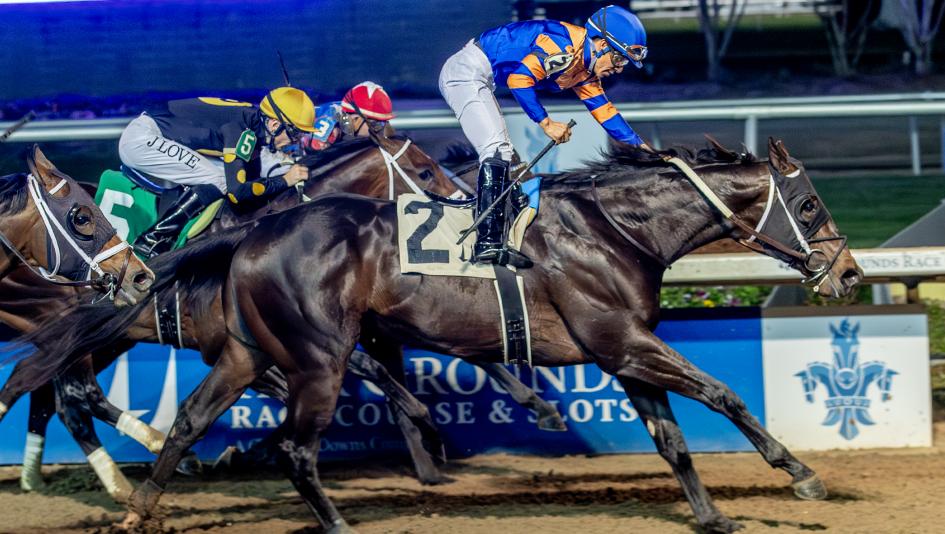 2026 Kentucky Derby Prospect Profile: Gun Runner Stakes Winner Chip Honcho