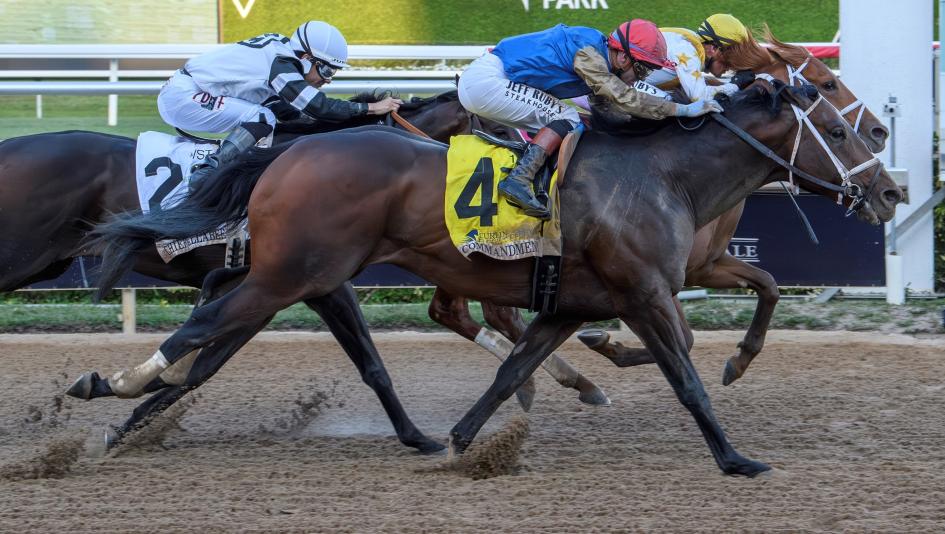Kentucky Derby, gambling, betting, Commandment, Brad Cox, Luis Saez, Chief Wallabee, Bill Mott, Further Ado, John Velazquez, Florida Derby, Blue Grass Stakes, Fountain of Youth Stakes, Equibase, speed figure, stride, pace, horse racing, ABR