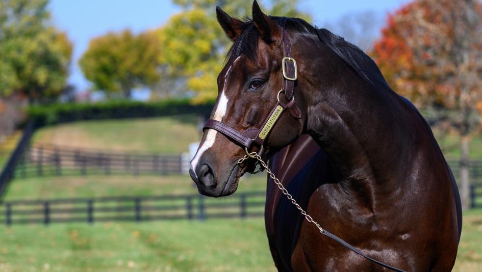 The Best Patriotic Racehorse Names for America’s 250th Birthday 