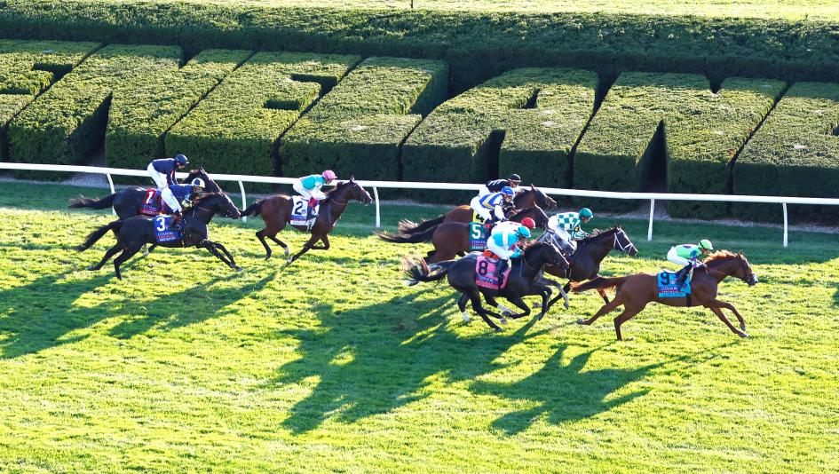 Coolmore Turf Mile Stakes, Keeneland, Breeders’ Cup, Donegal Momentum, Quatrocento, Howard Wolowitz, Diego Velazquez, Woodshauna, Mercante, Epic Ride, Program Trading, Rhetorical, Brilliant Berti, Beach Gold, Jonquil, ABR Coolmore Turf Mile Stakes, Keeneland, Breeders’ Cup, Donegal Momentum, Quatrocento, Howard Wolowitz, Diego Velazquez, Woodshauna, Mercante, Epic Ride, Program Trading, Rhetorical, Brilliant Berti, Beach Gold, Jonquil, ABR