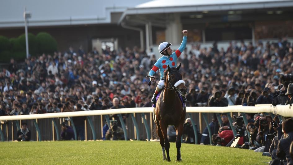 Japan Cup, Tokyo Racecourse, horse racing, international, Calandagan, Yahagi, Forever Young, Fujita, America’s Best Racing, ABR, social media, racecourse, fans, event, Cattleya Stakes, Kentucky Derby, Shin Emperor, Japan Racing Association, Japan