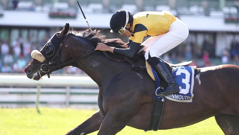 Ft. Lauderdale Stakes, Gulfstream Park, gambling, betting, Cugino, Wolfie’s Dynaghost, Major Dude, Steal Sunshine, Chasing the Crown, Siege of Boston, Beach Gold, Naptown, Quatrocento, Divin Propos, jockey, trainer, Ortiz, McGaughey, Prat, ABR