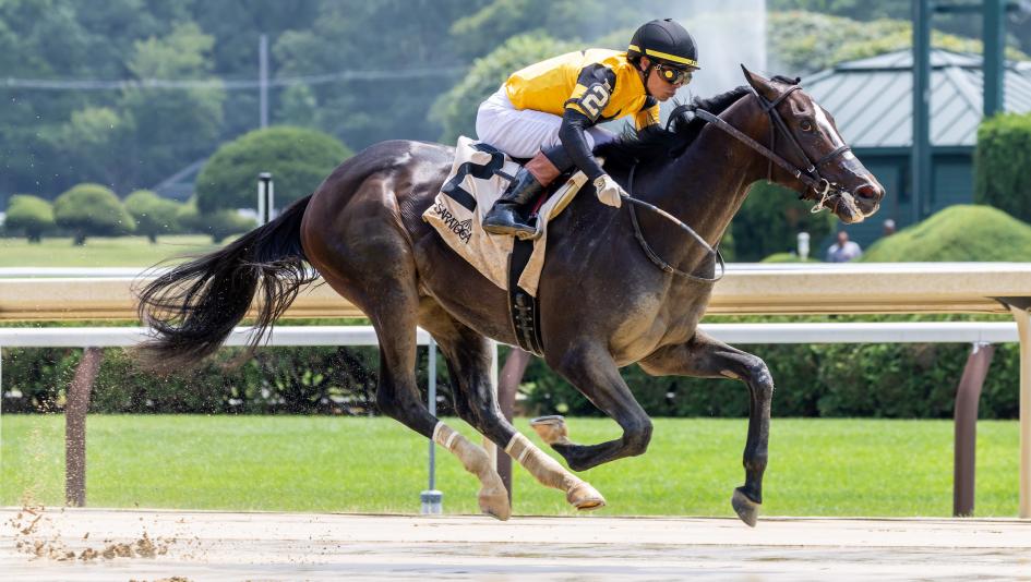 Griffin Johnson, social media, influencer, Stake in Stardom, fans, horse racing, followers, Instagram, Tik Tok, Sandman, Curtain Call, Ewing, Breeders’ Futurity, Keeneland, Champagne Stakes, Breeders’ Cup Juvenile, Kentucky Derby, owner, ABR