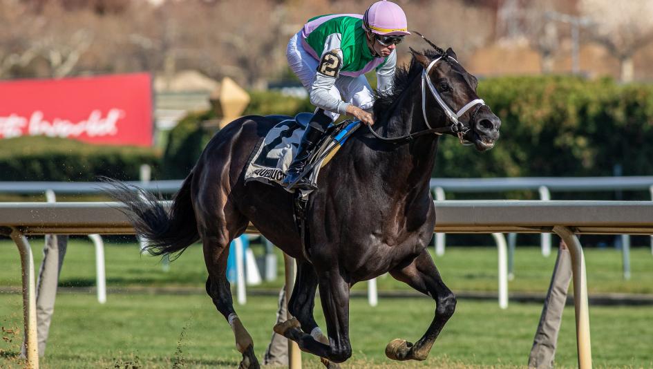 Equibase, earnings, rankings, standings, leaderboard, Disco Time, Dwyer Stakes, Fully Subscribed, Mother Goose Stakes, Wolfie’s Dynaghost, River City Stakes, trainer, jockey, Flavien Prat, Jose Ortiz, Brad Cox, Chad Brown, horse racing, ABR