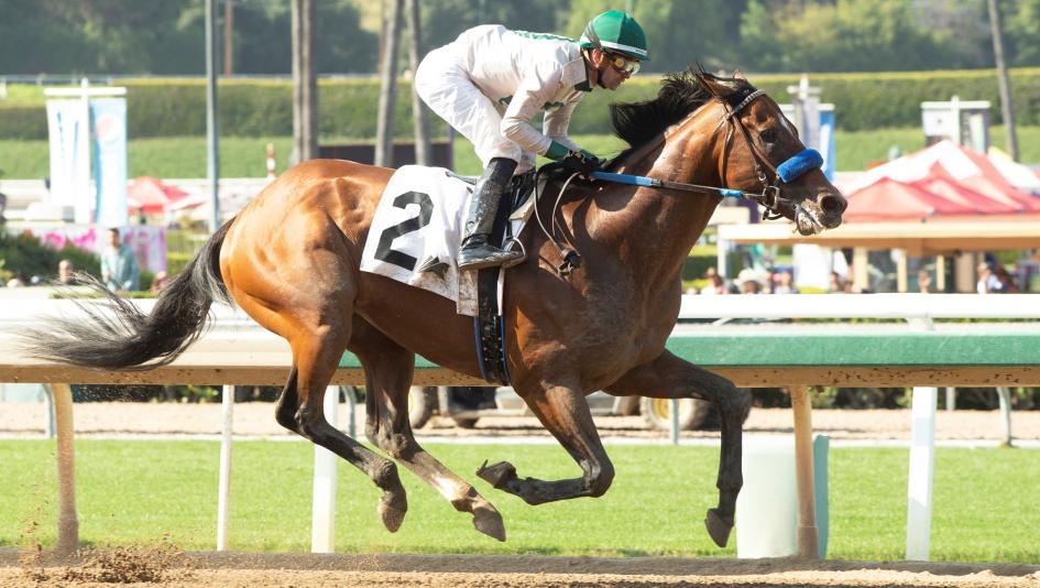 Santa Anita Park Eagles Flight Flightline Sadler Prat Maker The Wine Steward Mott Batten Down Belmont Stakes Saratoga Adare Manor Baffert Lund Peterson Mr Fisk Hollywood Gold Cup workout Alvarado jockey trainer horse racing Santa Anita Park Eagles Flight Flightline Sadler Prat Maker The Wine Steward Mott Batten Down Belmont Stakes Saratoga Adare Manor Baffert Lund Peterson Mr Fisk Hollywood Gold Cup workout Alvarado jockey trainer horse racing