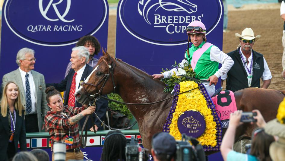 Elite Power: Two-Time Breeders’ Cup Winner and a Modern-Day Sprint Sensation