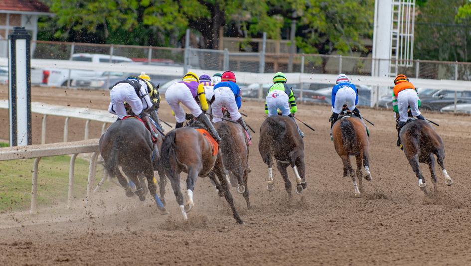 TV television radio Fair Grounds Lecomte Stakes Gulfstream Oaklawn Aqueduct Turfway Santa Anita Laurel Tampa Bay Downs horse racing FanDuel TV America’s Day at the Races NYRA FS2 FS1 Steve Byk HRRN RTN TV television radio Fair Grounds Lecomte Stakes Gulfstream Oaklawn Aqueduct Turfway Santa Anita Laurel Tampa Bay Downs horse racing FanDuel TV America’s Day at the Races NYRA FS2 FS1 Steve Byk HRRN RTN