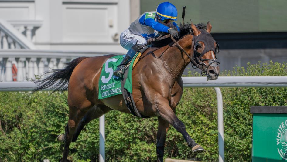 Belmont Oaks, Saratoga, Just Aloof, Time to Dream, Kensington Lane, Faithful Departed, Storm’s Wake, Fitz Right, Carmensita, Abashari, Ultimate Love, Imaginationthelady, jockey, trainer, turf, fillies, Jose Ortiz, Grant Forster, Chad Brown, horse racing, 