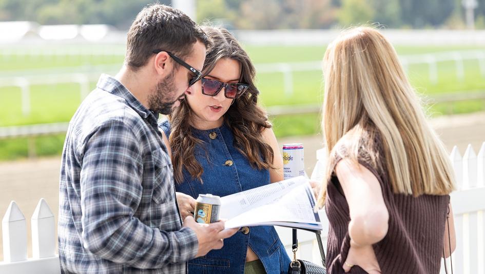 Preakness Stakes, betting, exacta, win, Laurel Park, speed, closer, Incredibolt, Ocelli, Talkin, Iron Honor, Napoleon Solo, Taj Mahal, Kentucky Derby, pace, Virginia Derby, horse racing, ABR