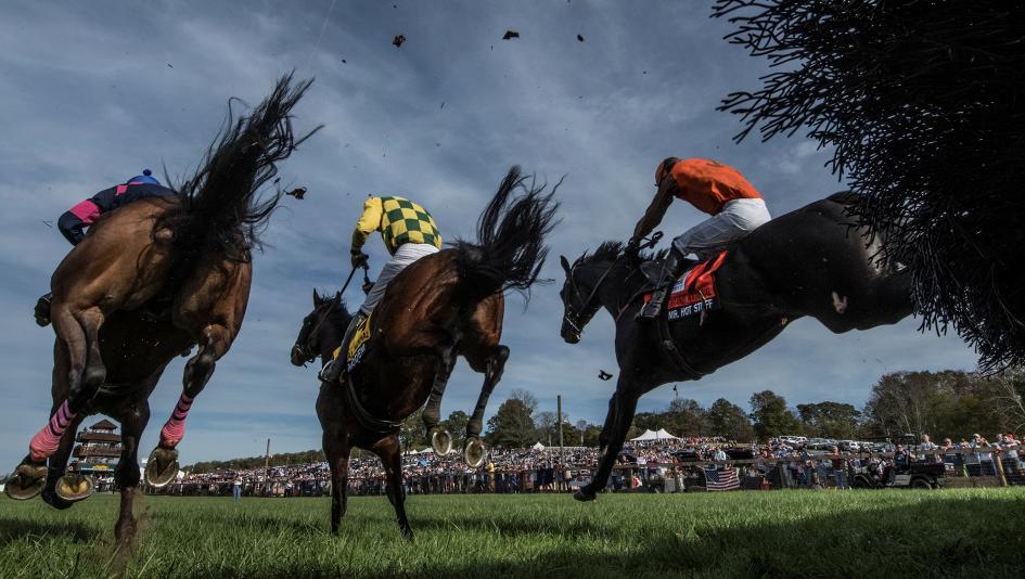 Far Hills, steeplechase, race meeting, hurdles, New Jersey, Grand National, tickets, fans, McDynamo, John Forbes Memorial, Peapack, Foxbrook, jumps, turf, Snap Decision, McLovin, Dripping Gold, ABR Far Hills, steeplechase, race meeting, hurdles, New Jersey, Grand National, tickets, fans, McDynamo, John Forbes Memorial, Peapack, Foxbrook, jumps, turf, Snap Decision, McLovin, Dripping Gold, ABR