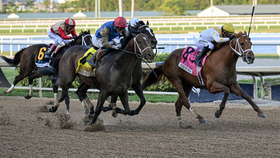 Derby Dozen, Kentucky Derby, Byron King, Renegade, Commandment, Chief Wallabee, The Puma, Class President, Silent Tactic, Potente, Pavlovian, Reagan’s Honor, Further Ado, Incredibolt, Emerging Market, horse racing, ABR