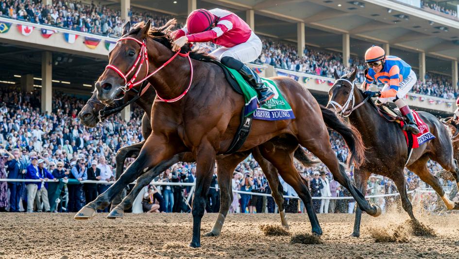 Longines, best racehorse rankings, Thoroughbred, Forever Young, Breeders’ Cup Classic, Sovereignty, Sierra Leone, Daryz, Field of Gold, Calandagan, Ombudsman, horse racing, international, ABR