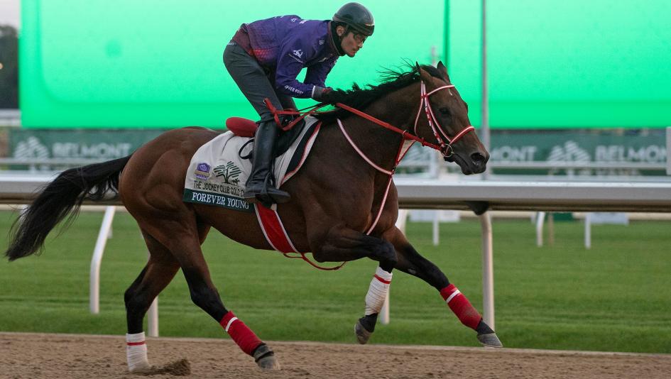 Breeders’ Cup Classic, Keeneland, Forever Young, Sovereignty, Magnitude, Knightsbridge, Golden Tempo, Napoleon Solo, The Puma, Phileas Fogg, Forged Steel, Original Sin, Plutarch, Skippylongstocking, horse racing, ABR