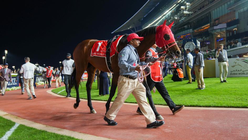 Forever Young, Breeders’ Cup Classic, Jockey Club Gold Cup Stakes, Belmont Park, Keeneland, Dubai World Cup, Japan, champion, Yashito Yahagi, trainer, Susumu Fujita, owner, prep, Challenge Series, Andrew Offerman, Dora Delgago, horse racing, ABR