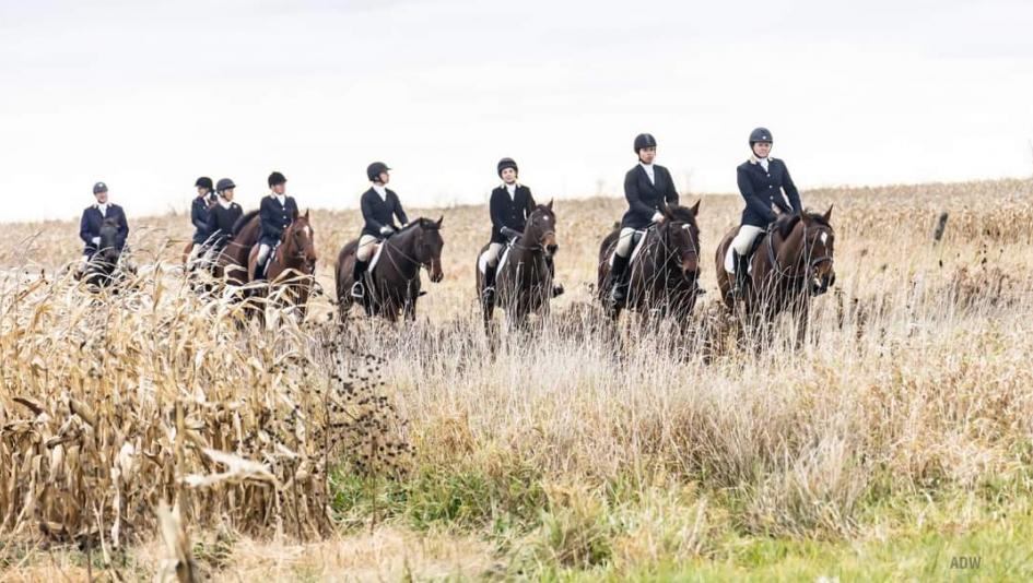 Thoroughbred Makeover Diary: Foxhunting for Beginners | America's Best ...