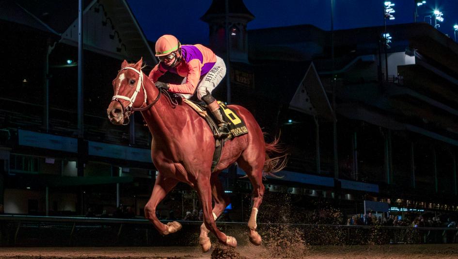 Further Ado, Kentucky Derby, Kentucky Jockey Club Stakes, Churchill Downs, Gun Runner, breeding, pedigree, speed figures, Beyer, Equibase, owner, trainer, jockey, Irad Ortiz, Brad Cox, Spendthrift Farm, Triple Crown, horse racing, ABR