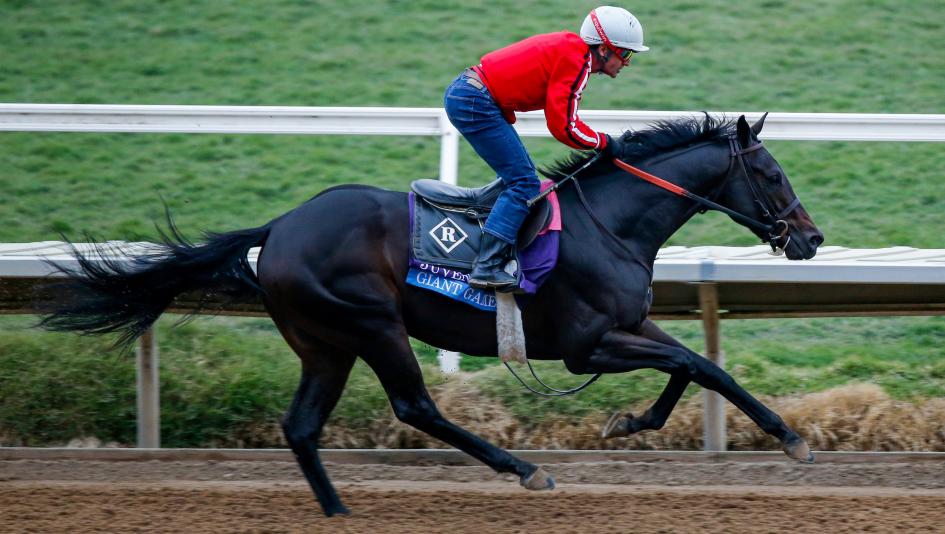 2022 Rising Star Snapshots: Giant Game | America's Best Racing