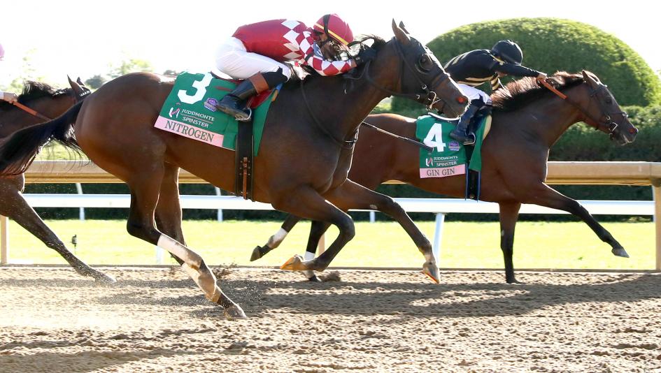 Gin Gin, Nitrogen, Thorpedo Anna, Brendan Walsh, trainer, Luis Saez, jockey, Breeders’ Cup Distaff, horse racing, Horse of the Year, McPeek, Casse, Prat, Final Score, Bourbon Stakes, Irad Ortiz, Todd Pletcher, Juvenile Turf, horse racing, ABR