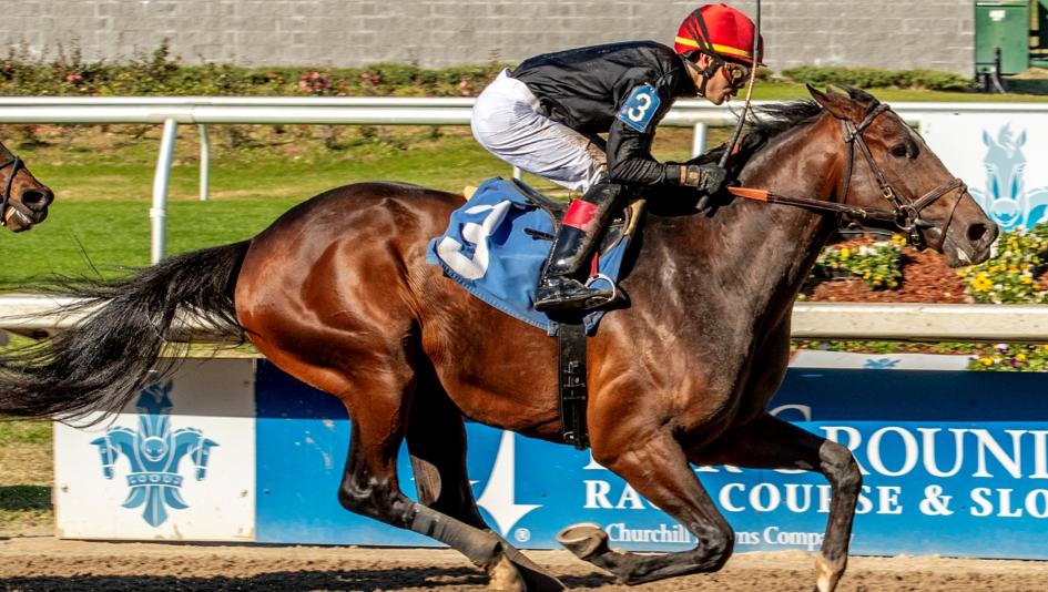 Rookie Rankings, Kentucky Derby, Ted Noffey, Triple Crown, Paladin, Further Ado, Satono Voyage, Blackout Time, Litmus Test, Cannoneer, Napoleon Solo, Iron Honor, Golden Tempo, Fair Grounds, Pyromancer, horse racing, ABR